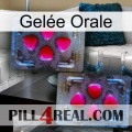 Gelée Orale 15